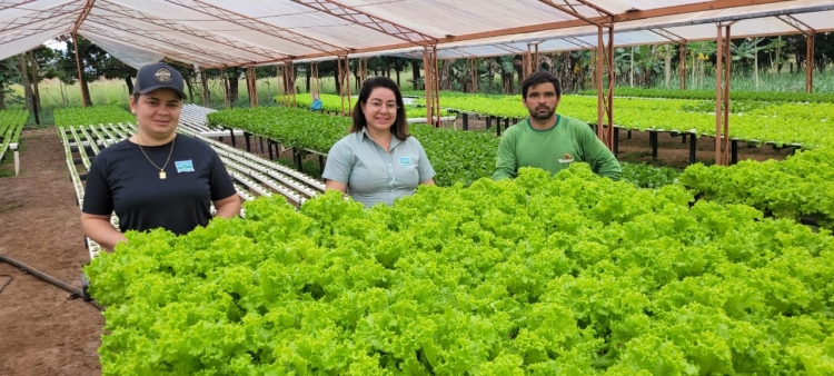 VISITAS AOS PRODUTORES DE HIDROPONIA DO VALE DO GUAPOR&Eacute;